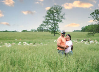 Peace in the Valley Farms