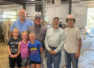 From Sale Ring to Show Ring