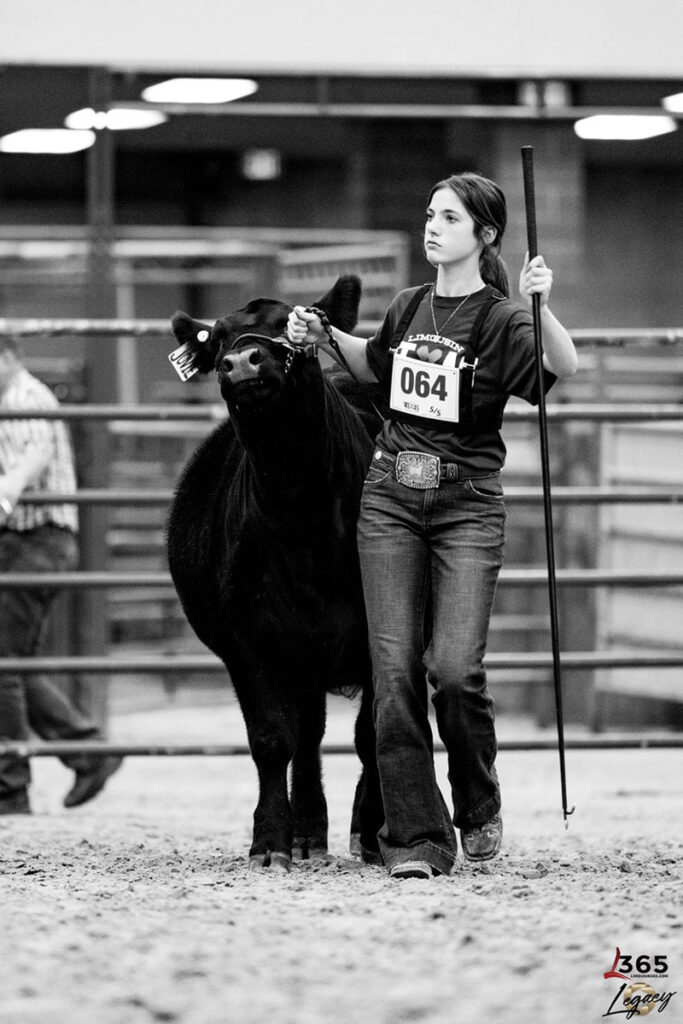 Ellie Dill of Marshfield, Missouri is a member of the Marshfield FFA Chapter. Contributed Photo.