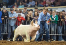 Success Isn’t Measured Only By Wins, It’s About Legacy