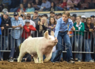 Success Isn’t Measured Only By Wins, It’s About Legacy