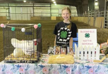 Looking Forward to the Future