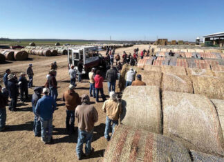 Connecting with Customers