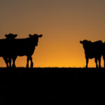 Do We Know What High is Yet?