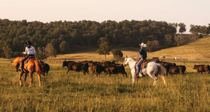 Osarks Ranch Where Heritage Runs Deep: The Story of The 808 Ranch - Ozarks Farm ...