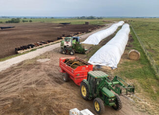 Riley Ferguson is Striving for Sustainability and Profitability