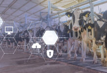 A Different Kind of AI