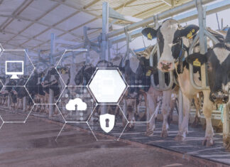 A Different Kind of AI