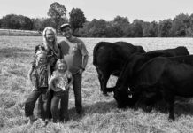 D & A Cattle Company