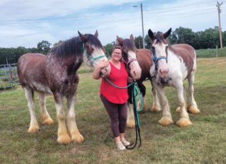 Gerth Farms Has a Big Love for this Big Breed