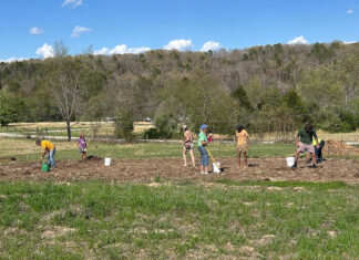 Working to Live Ecologically Conscious