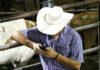 Apps Help Ranchers Weigh Cattle and Track Market Value