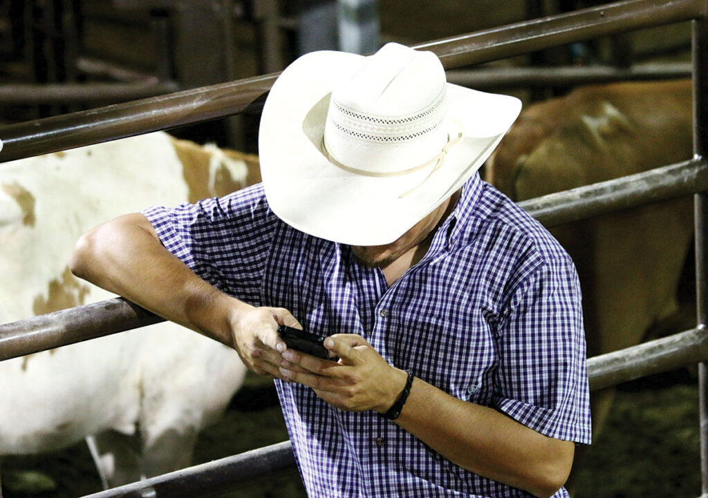 envato.com, delightfully_chaotic_me