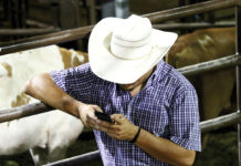 Apps Help Ranchers Weigh Cattle and Track Market Value