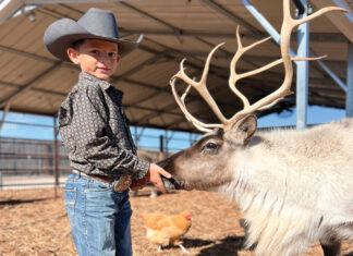 Prescott Reindeer Farm