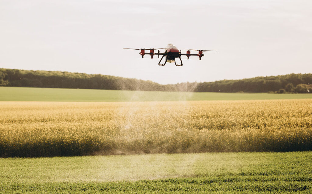 envato.com, fentonroma