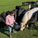 Probiotics In Your Herd