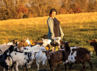 Heading into Goats Full Throttle