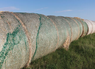 Net Wrap: Friend or Foe