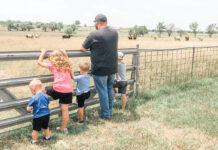 Speckled Feather Farms