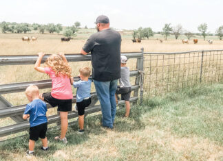 Speckled Feather Farms