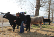 Producing High Quality Livestock with Strong Genetics