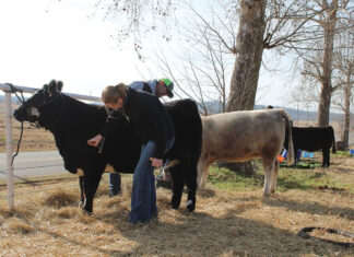 Producing High Quality Livestock with Strong Genetics