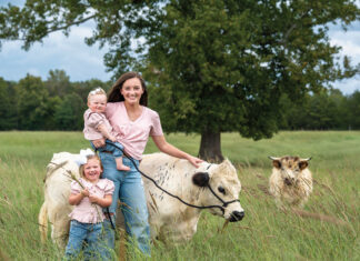 A Mini Herd with Mighty Personalities