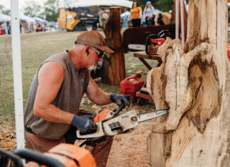 Eagle Ridge Chainsaw Carvings