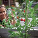 Youth Use Social Media to Promote Agriculture