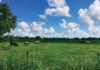 Buying Rural Land