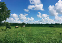 Buying Rural Land