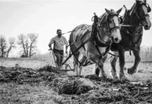 Folklore and Farming