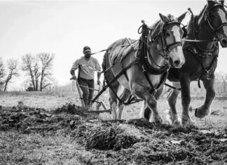 Folklore and Farming