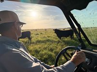 Building a Legacy at Layton Farm