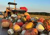 A Cherished Fall Tradition