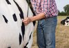 Reducing Death Loss in Livestock
