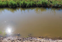 Muddy Water and Salty Water Are Not the Same Problem